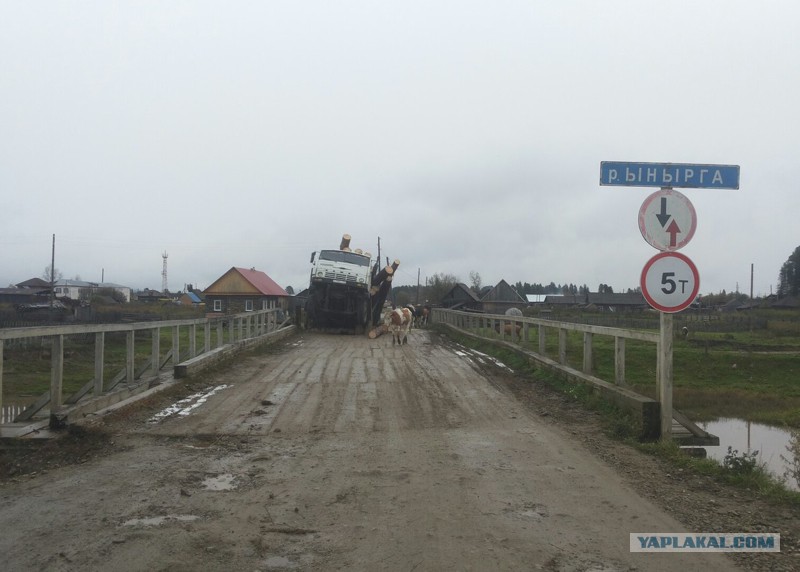 Несколько забавных наименований отечественных деревень и сел Язык,География