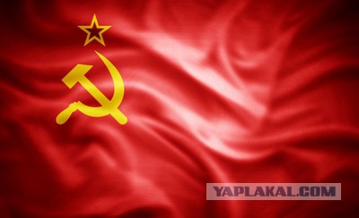 Пост одной картинки