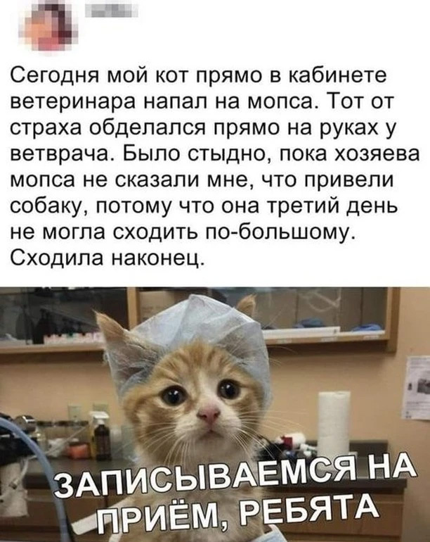 Немного картинок и прочей хреноты Vol. 11