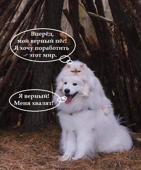 40 картинок разных 05.05.2022