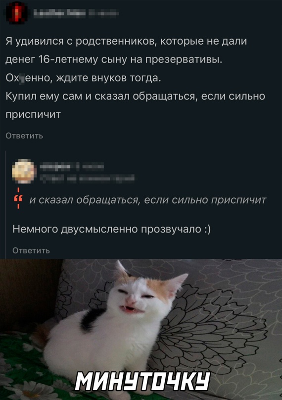 Весёлый полтишок 08.06.2022