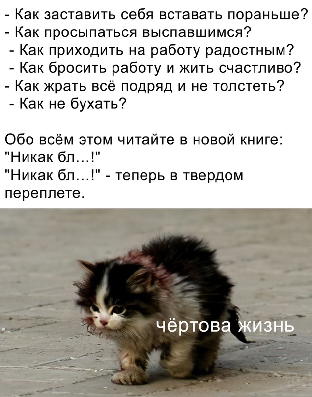 Картинки и мемы для настроения - 11
