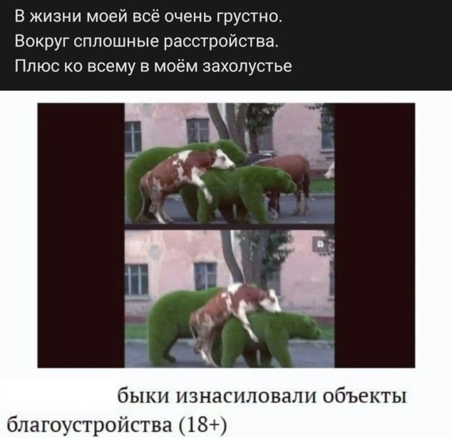 Картинки и мемы для настроения - 23