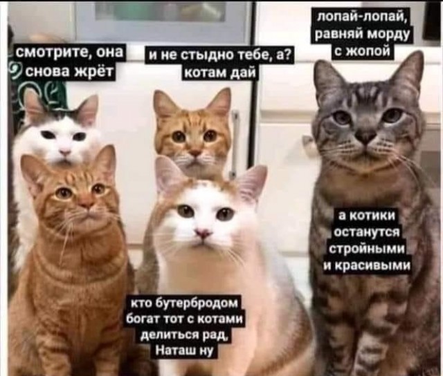 Картинки и мемы, всем хороших выходных