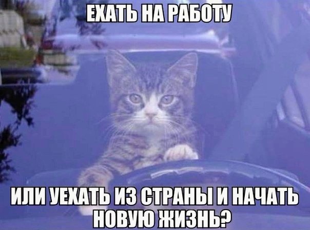 Картинки и мемы. Выходные близко...