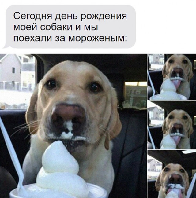 Картинки и мемы. Выходные близко...