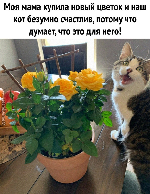 Немного картинок для настроения - 137