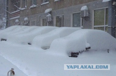 Попал как-то Беар Гриллз весной в Россию...
