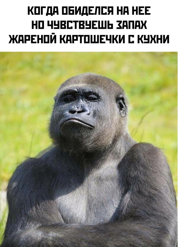 Картинки и мемы, это май-чародей всяко разно - 177