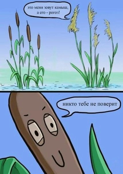 Нуштош 17.07.2023