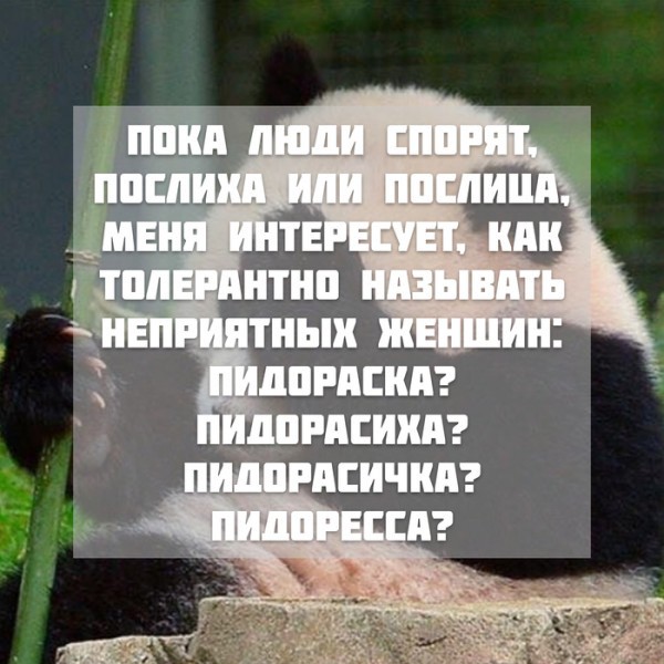 Феминитивы с точки зрения женщины