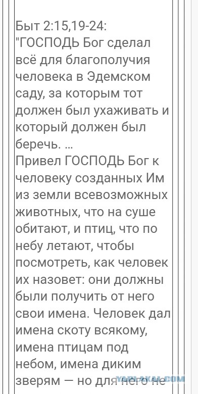 Интересные цитаты из библии