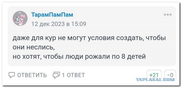 Азербайджан поставил в Россию 36 тонн куриных яиц