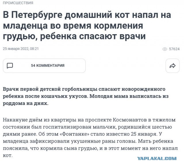 "Я - бывшая зоошиза⁠⁠"