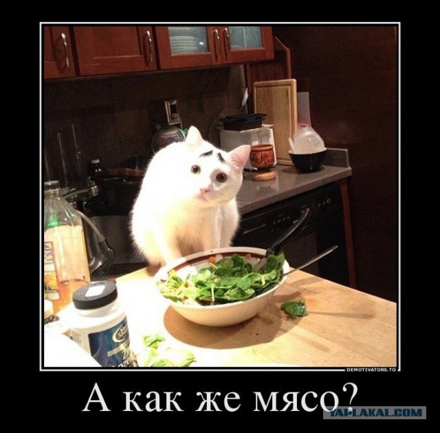 Окрошка