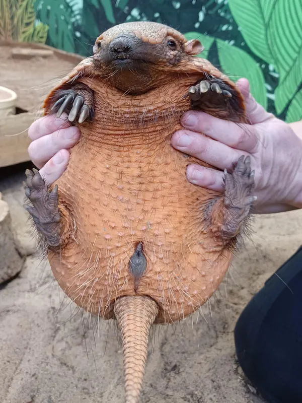 ФотоВинегрет