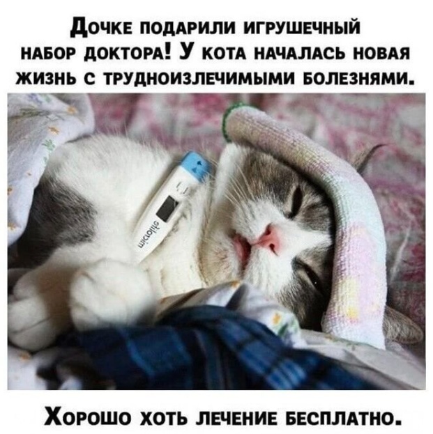 Так себе картинки 10.07.24