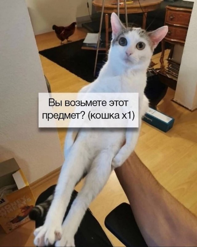 Завалялось тут случайно немного забавных картинок