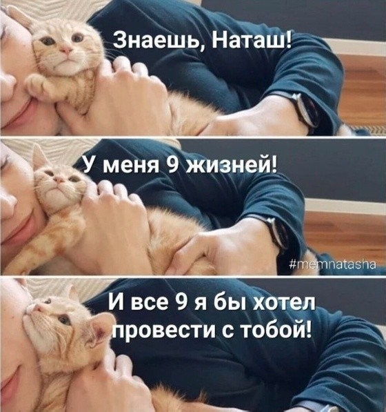 К котовторнику: подборка картинок-баянов с котиками и про котиков. Выпуск 2.