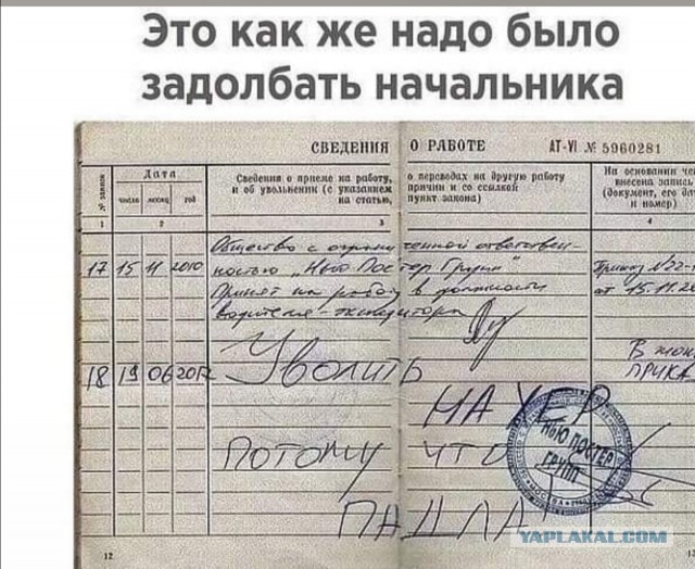 Так себе картинки 14.03.25