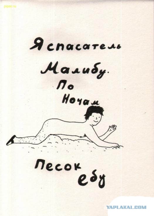 Спасатель "Малибу"