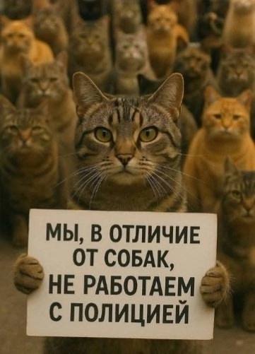 Завалялось тут случайно немного забавных картинок