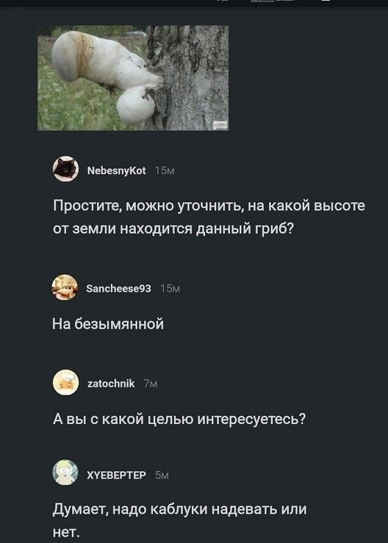 Картинки для деградации 40 (разной степени свежести)