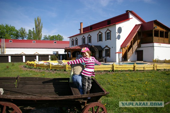 Праздник Галушки в Полтаве