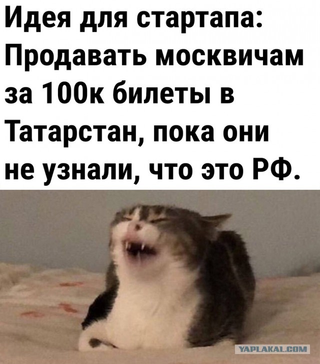Так себе картинки 02.10.25