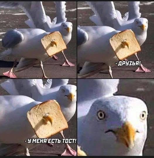 Маленькая пятница 22.10