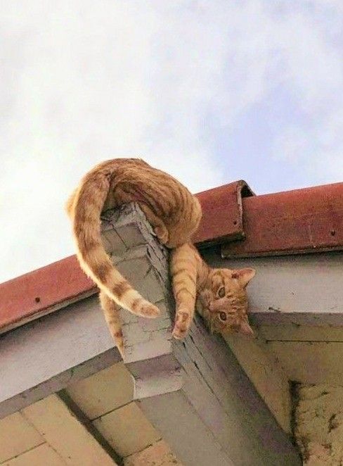 Прикольные и просто красивые картинки 18.11.2025