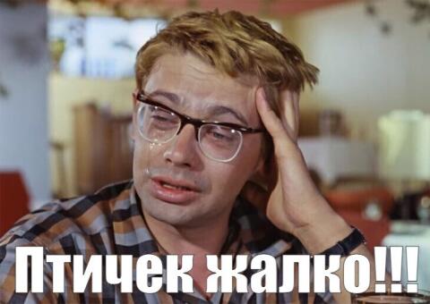 Тем временем на фоне грядущего похолодания в Москве в сервисах доставки появились меховые трусы