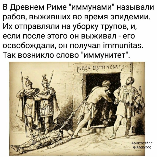 Куча мала 15, последняя