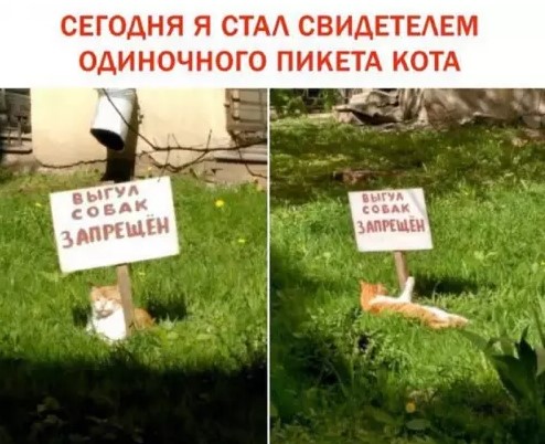 Картиночки, баянчики 19 марта