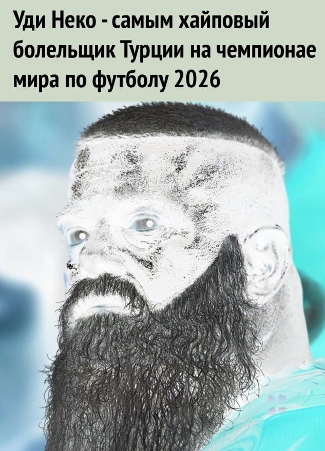 Уди Неко