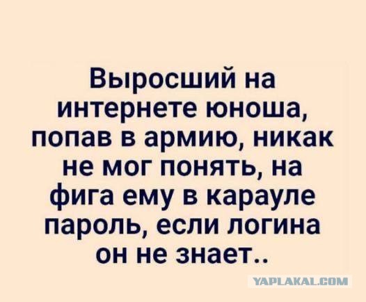 Картинки для деградации 226 (разной степени свежести)