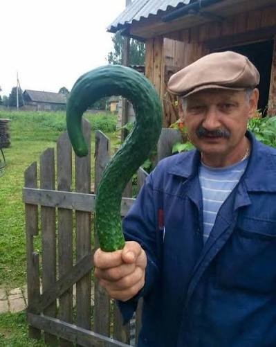 Опять странные вопросы