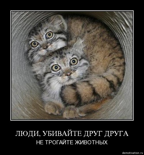 Это же надо быть таким ублюдком ...