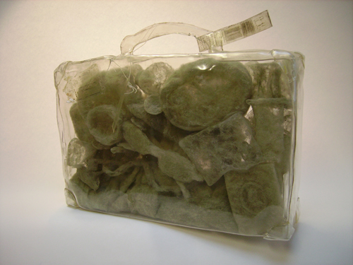 Пыльное искусство (9 фото)