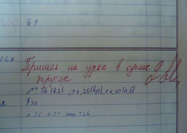 Записи в Дневниках