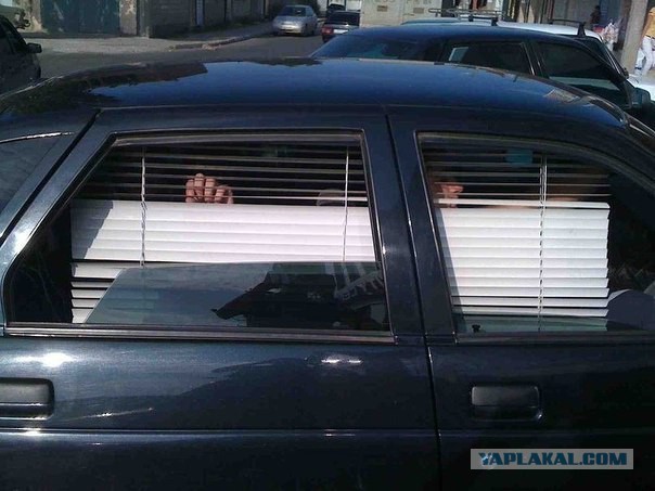 Подборка автоприколов