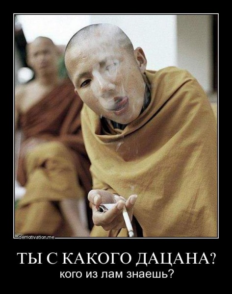 Новые "комментарии из соцсетей"