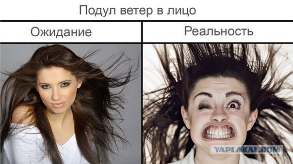 Когда ветер дует в лицо