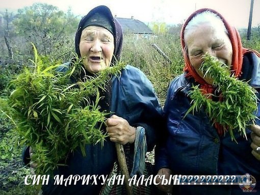 13 женских косяков