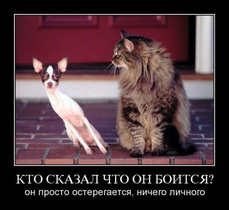 Демотиваторы