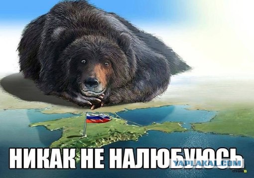 Французы приехали в Крым