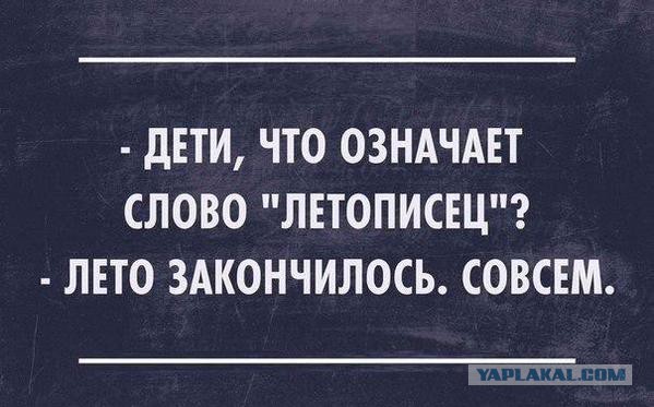 Смешные комментарии 16.08.2015
