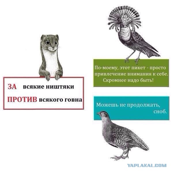 Пиши-Читай
