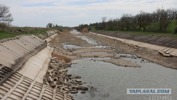 А у нас в пруду подснежник всплыл