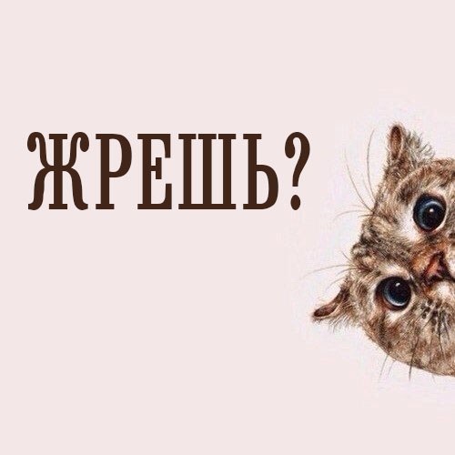 Разные картинки